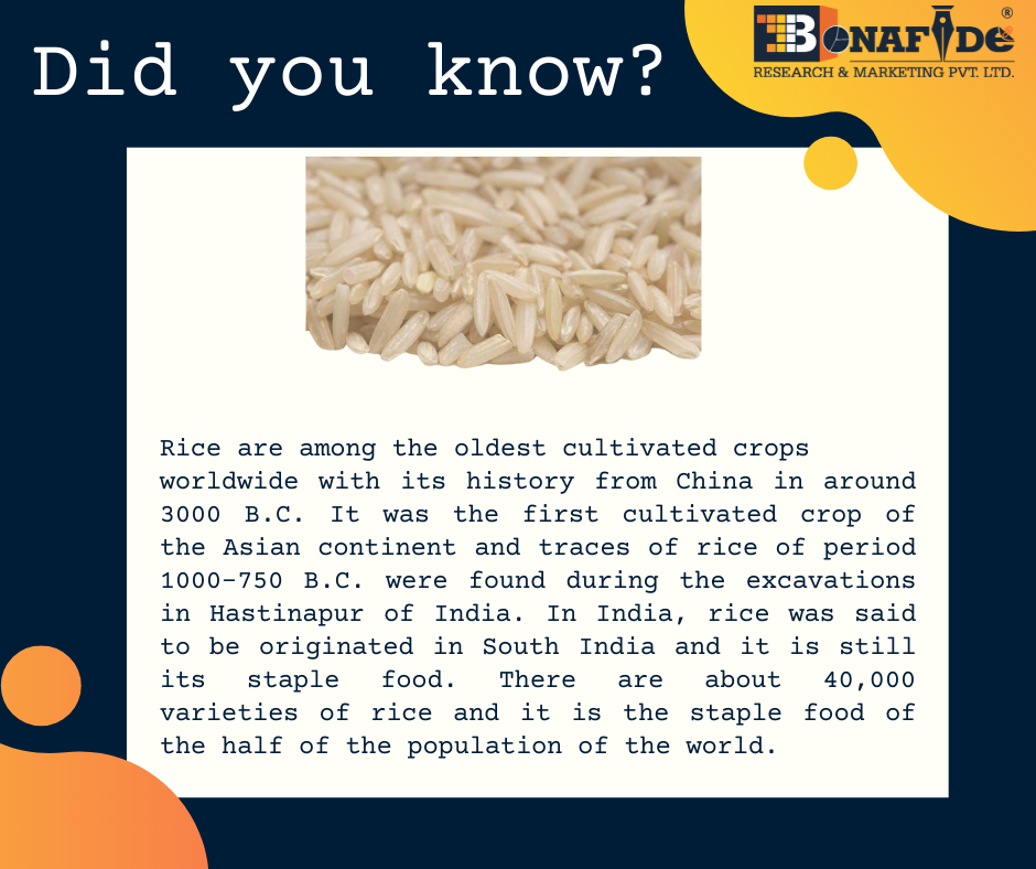 Interesting facts about Rice